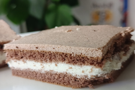 Jogurtowa keto pianka w delikatnym biszkopcie