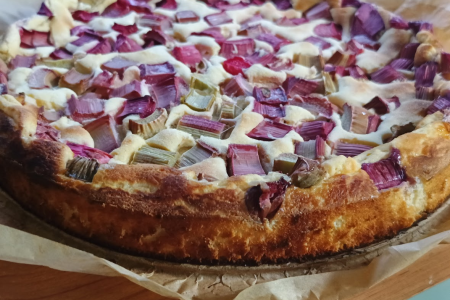 Sernikowy placek z rabarbarem